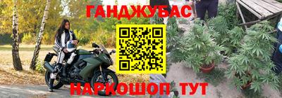 стаф Бузулук