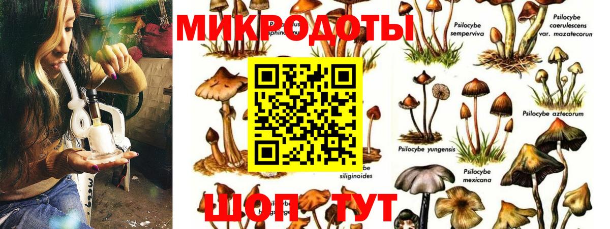 Галлюциногенные грибы Magic Shrooms  Вход с VPN  Тюмень 