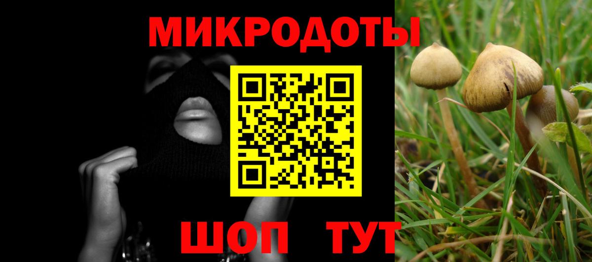 Галлюциногенные грибы Magic Shrooms Тюмень